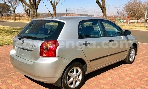 Buy Used Toyota Runx Silver Car in Ezulwini in Hhohho Buy Used Toyota Runx Silver Car in Ezulwini in Hhohho
