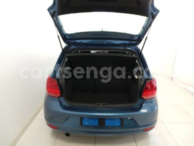 Big with watermark anele10