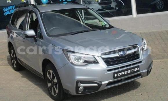 Buy Used Subaru Forester Silver Car in Manzini in Manzini