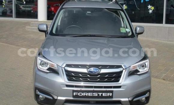 Buy Used Subaru Forester Silver Car in Manzini in Manzini Buy Used Subaru Forester Silver Car in Manzini in Manzini