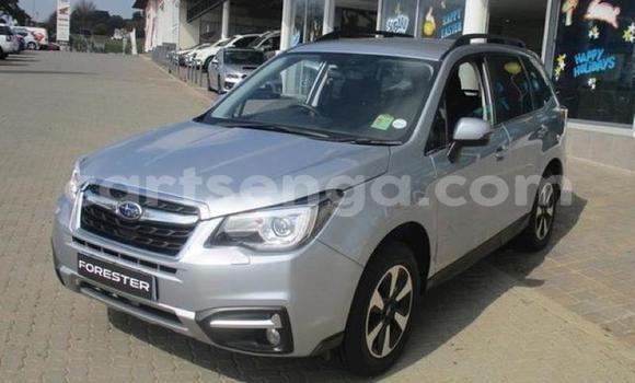Buy Used Subaru Forester Silver Car in Manzini in Manzini Buy Used Subaru Forester Silver Car in Manzini in Manzini