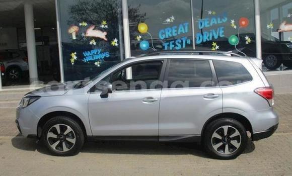Buy Used Subaru Forester Silver Car in Manzini in Manzini Buy Used Subaru Forester Silver Car in Manzini in Manzini