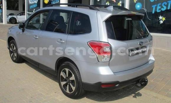 Buy Used Subaru Forester Silver Car in Manzini in Manzini Buy Used Subaru Forester Silver Car in Manzini in Manzini