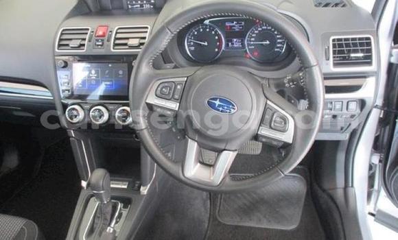 Buy Used Subaru Forester Silver Car in Manzini in Manzini Buy Used Subaru Forester Silver Car in Manzini in Manzini