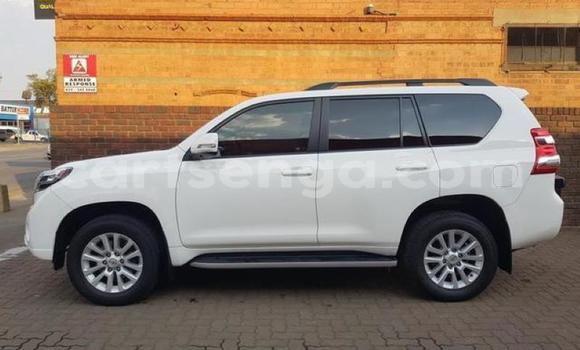 Buy Used Toyota Land Cruiser Prado White Car in Manzini in Manzini Buy Used Toyota Land Cruiser Prado White Car in Manzini in Manzini
