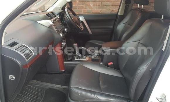Buy Used Toyota Land Cruiser Prado White Car in Manzini in Manzini Buy Used Toyota Land Cruiser Prado White Car in Manzini in Manzini