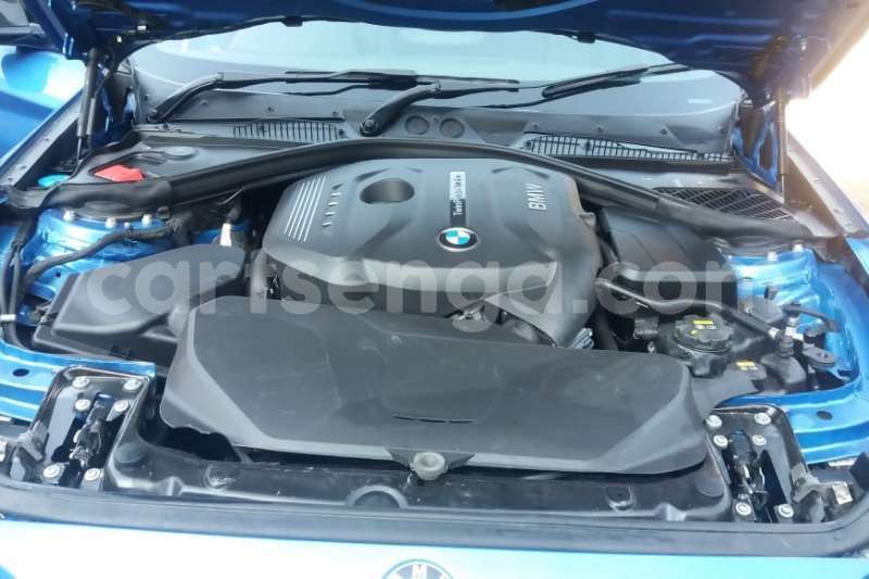 Big with watermark crop800x600 17