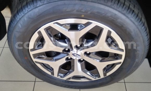 Acheter Occasion Voiture Subaru Forester Autre à Mbabane, Manzini Acheter Occasion Voiture Subaru Forester Autre à Mbabane, Manzini