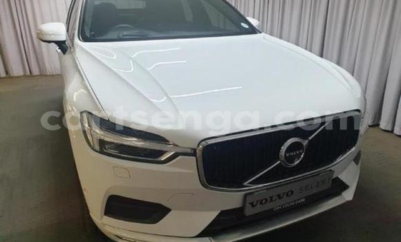Buy Used Volvo XC60 White Car in Vuvulane in Lubombo District