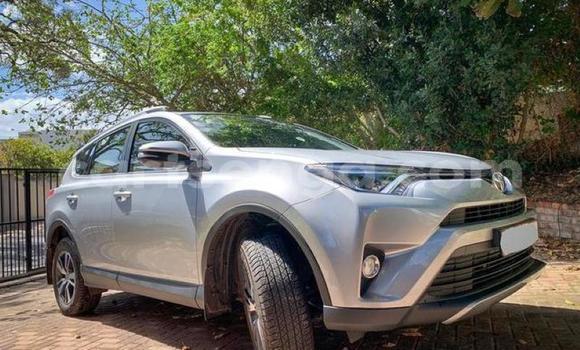 Buy Used Toyota RAV4 Silver Car in Ezulwini in Hhohho Buy Used Toyota RAV4 Silver Car in Ezulwini in Hhohho