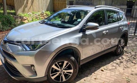 Buy Used Toyota RAV4 Silver Car in Ezulwini in Hhohho Buy Used Toyota RAV4 Silver Car in Ezulwini in Hhohho