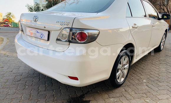 Nunua Ilio tumika Toyota Corolla White Gari ndani ya Ezulwini nchini Hhohho Nunua Ilio tumika Toyota Corolla White Gari ndani ya Ezulwini nchini Hhohho