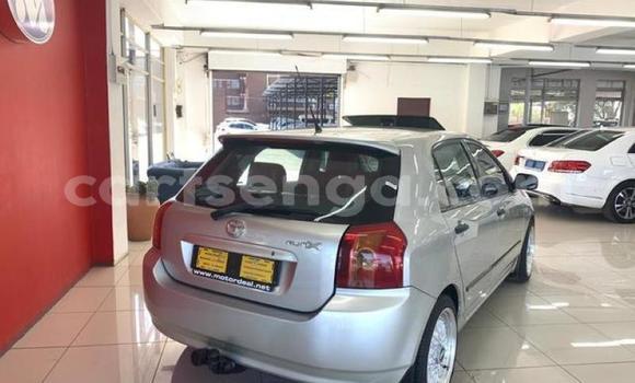 Nunua Ilio tumika Toyota Runx Green Gari ndani ya Ezulwini nchini Hhohho Nunua Ilio tumika Toyota Runx Green Gari ndani ya Ezulwini nchini Hhohho