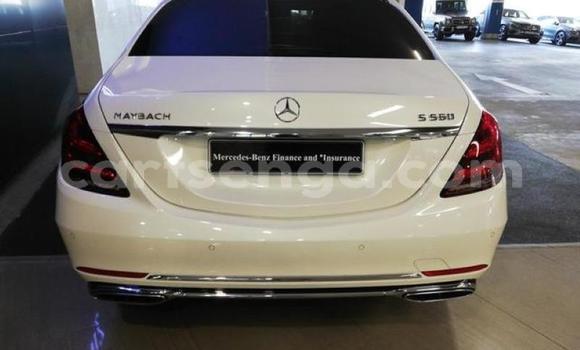 Buy Used Volkswagen Scirocco White Car in Big Bend in Lubombo District Buy Used Volkswagen Scirocco White Car in Big Bend in Lubombo District