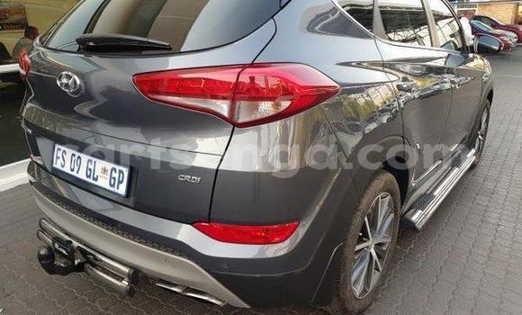 Nunua Ilio tumika Hyundai Tuscani Silver Gari ndani ya Hlatikulu nchini Wilaya ya Shiselweni Nunua Ilio tumika Hyundai Tuscani Silver Gari ndani ya Hlatikulu nchini Wilaya ya Shiselweni