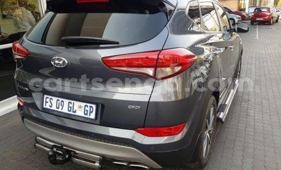 Nunua Ilio tumika Hyundai Tuscani Silver Gari ndani ya Hlatikulu nchini Wilaya ya Shiselweni Nunua Ilio tumika Hyundai Tuscani Silver Gari ndani ya Hlatikulu nchini Wilaya ya Shiselweni