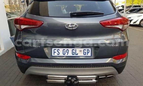Nunua Ilio tumika Hyundai Tuscani Silver Gari ndani ya Hlatikulu nchini Wilaya ya Shiselweni Nunua Ilio tumika Hyundai Tuscani Silver Gari ndani ya Hlatikulu nchini Wilaya ya Shiselweni