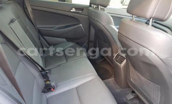 Nunua Ilio tumika Hyundai Tuscani Silver Gari ndani ya Hlatikulu nchini Wilaya ya Shiselweni Nunua Ilio tumika Hyundai Tuscani Silver Gari ndani ya Hlatikulu nchini Wilaya ya Shiselweni