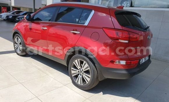 Nunua Ilio tumika Kia Sportage Red Gari ndani ya Hluti nchini Wilaya ya Shiselweni Nunua Ilio tumika Kia Sportage Red Gari ndani ya Hluti nchini Wilaya ya Shiselweni