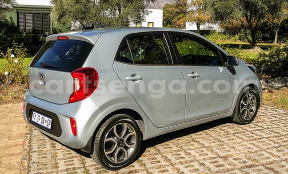 Acheter Occasion Voiture Kia Picanto Gris à Bulembu, Hhohho Acheter Occasion Voiture Kia Picanto Gris à Bulembu, Hhohho