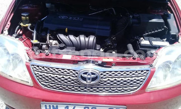 Buy Used Toyota Corolla Other Car in Big Bend in Lubombo Buy Used Toyota Corolla Other Car in Big Bend in Lubombo