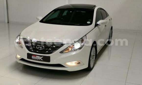 Nunua Ilio tumika Hyundai Sonata White Gari ndani ya Bulembu nchini Hhohho Nunua Ilio tumika Hyundai Sonata White Gari ndani ya Bulembu nchini Hhohho