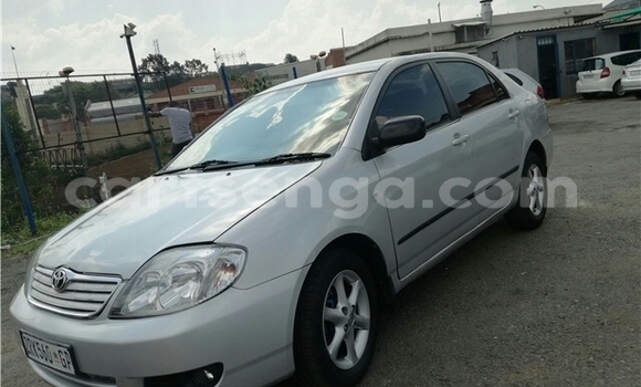 Buy Used Toyota Corolla Silver Car in Big Bend in Lubombo Buy Used Toyota Corolla Silver Car in Big Bend in Lubombo
