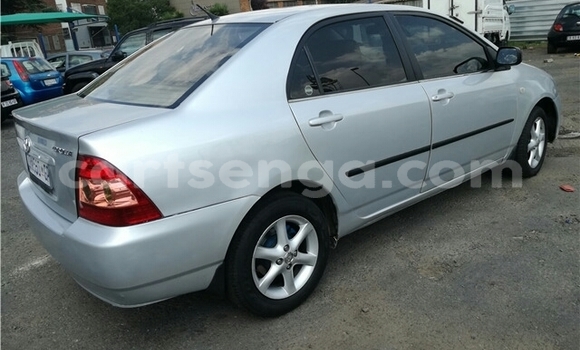 Buy Used Toyota Corolla Silver Car in Big Bend in Lubombo Buy Used Toyota Corolla Silver Car in Big Bend in Lubombo