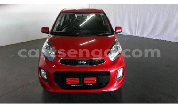 Acheter Occasion Voiture Kia Picanto Rouge à Manzini, Manzini Acheter Occasion Voiture Kia Picanto Rouge à Manzini, Manzini