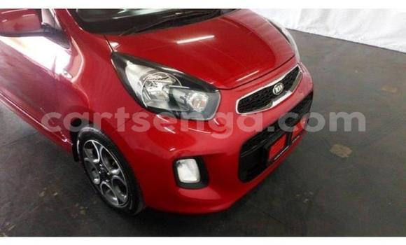 Acheter Occasion Voiture Kia Picanto Rouge à Manzini, Manzini Acheter Occasion Voiture Kia Picanto Rouge à Manzini, Manzini