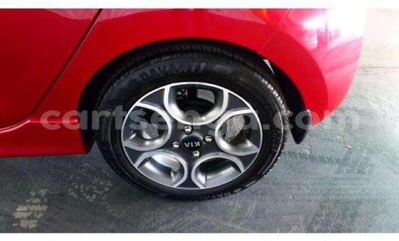 Acheter Occasion Voiture Kia Picanto Rouge à Manzini, Manzini Acheter Occasion Voiture Kia Picanto Rouge à Manzini, Manzini