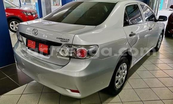 Acheter Occasion Voiture Toyota Corolla Gris à Ezulwini, Hhohho Acheter Occasion Voiture Toyota Corolla Gris à Ezulwini, Hhohho