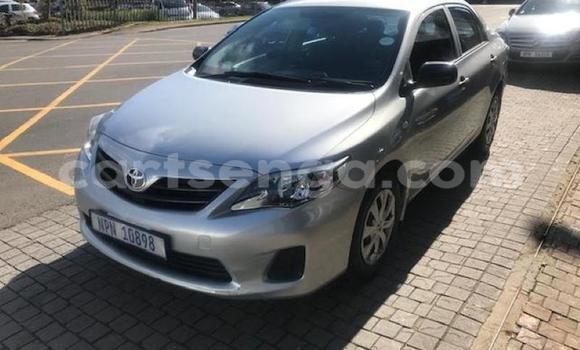 Acheter Occasion Voiture Toyota Corolla Gris à Ezulwini, Hhohho Acheter Occasion Voiture Toyota Corolla Gris à Ezulwini, Hhohho