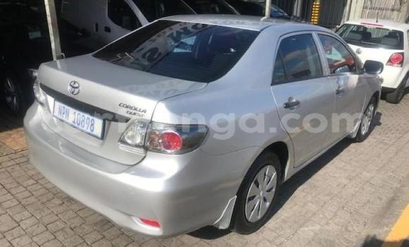 Acheter Occasion Voiture Toyota Corolla Gris à Ezulwini, Hhohho Acheter Occasion Voiture Toyota Corolla Gris à Ezulwini, Hhohho
