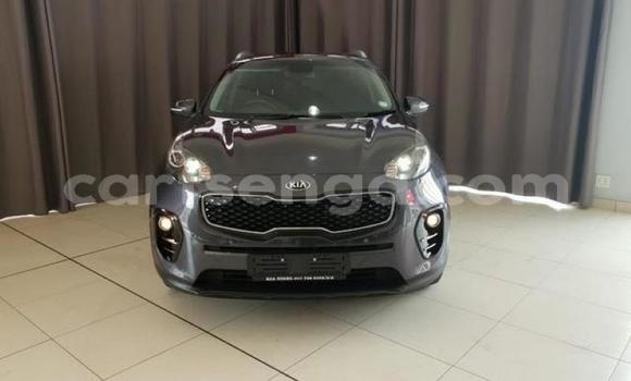 Acheter Occasion Voiture Kia Sportage Marron à Manzini, Manzini Acheter Occasion Voiture Kia Sportage Marron à Manzini, Manzini