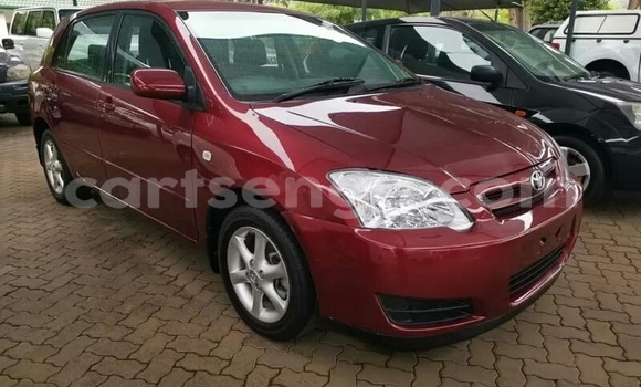 Buy Used Toyota Runx Other Car in Mbabane in Manzini Buy Used Toyota Runx Other Car in Mbabane in Manzini