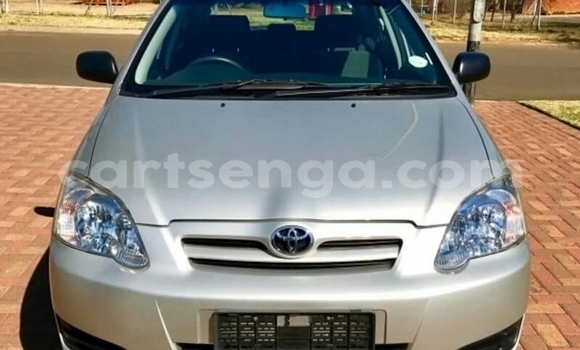 Buy Used Toyota Runx Silver Car in Ezulwini in Hhohho Buy Used Toyota Runx Silver Car in Ezulwini in Hhohho
