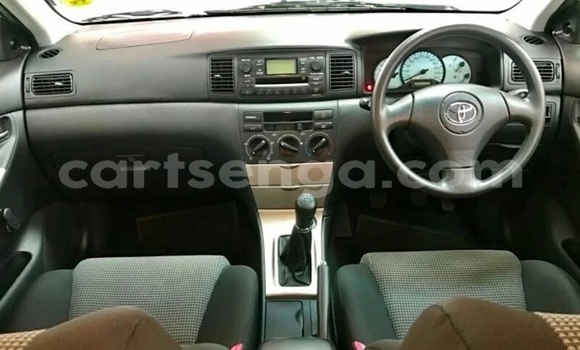 Buy Used Toyota Runx Silver Car in Ezulwini in Hhohho Buy Used Toyota Runx Silver Car in Ezulwini in Hhohho