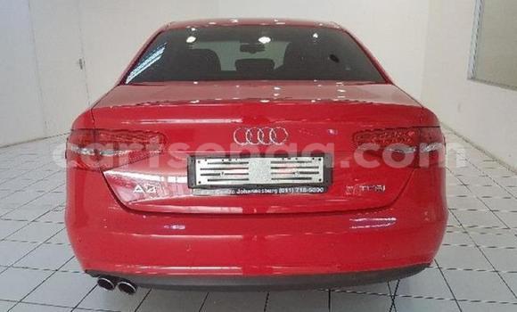 Buy Used Audi A4 Red Car in Big Bend in Lubombo District Buy Used Audi A4 Red Car in Big Bend in Lubombo District