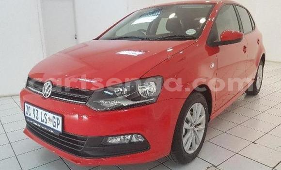 Buy Used Volkswagen Polo Red Car in Big Bend in Lubombo District Buy Used Volkswagen Polo Red Car in Big Bend in Lubombo District