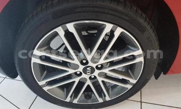 Buy Used Kia Rio Red Car in Bulembu in Hhohho Buy Used Kia Rio Red Car in Bulembu in Hhohho