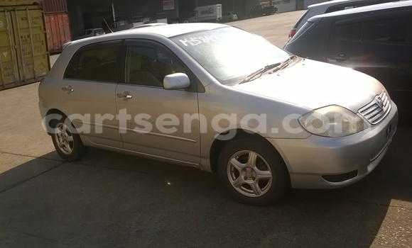 Buy Used Toyota Allex Silver Car in Siteki in Swaziland Buy Used Toyota Allex Silver Car in Siteki in Swaziland