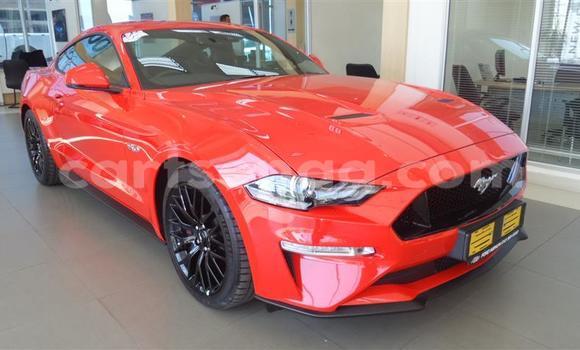 Acheter Occasion Voiture Ford Mustang Rouge à Ezulwini, Hhohho Acheter Occasion Voiture Ford Mustang Rouge à Ezulwini, Hhohho