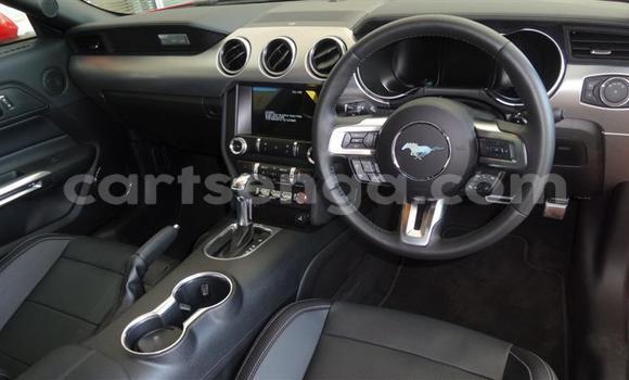 Acheter Occasion Voiture Ford Mustang Rouge à Ezulwini, Hhohho Acheter Occasion Voiture Ford Mustang Rouge à Ezulwini, Hhohho