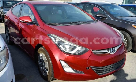 Buy Import Hyundai Elantra Red Car in Import - Dubai in Hhohho Buy Import Hyundai Elantra Red Car in Import - Dubai in Hhohho