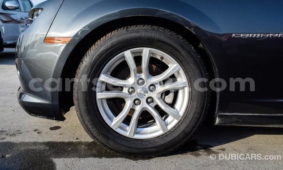Buy Import Chevrolet Camaro Other Car in Import - Dubai in Hhohho Buy Import Chevrolet Camaro Other Car in Import - Dubai in Hhohho
