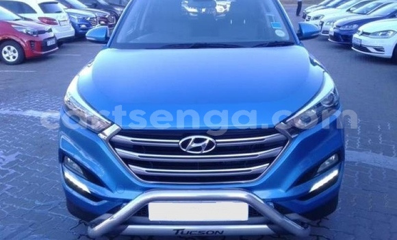 Buy Used Hyundai Tucson Blue Car in Big Bend in Lubombo District Buy Used Hyundai Tucson Blue Car in Big Bend in Lubombo District