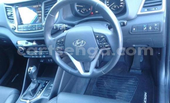Buy Used Hyundai Tucson Blue Car in Big Bend in Lubombo District Buy Used Hyundai Tucson Blue Car in Big Bend in Lubombo District
