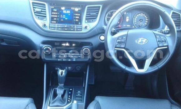 Buy Used Hyundai Tucson Blue Car in Big Bend in Lubombo District Buy Used Hyundai Tucson Blue Car in Big Bend in Lubombo District