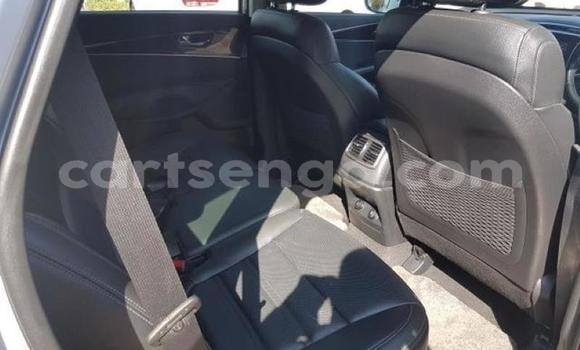 Buy Used Kia Sorento Silver Car in Big Bend in Lubombo District Buy Used Kia Sorento Silver Car in Big Bend in Lubombo District